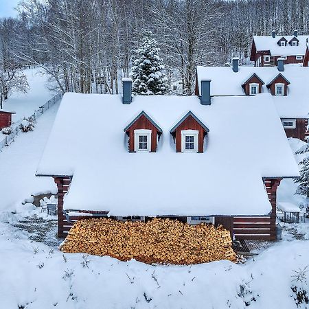 Modern Chalet Na Zlatniku Zlata Olesnice  Экстерьер фото